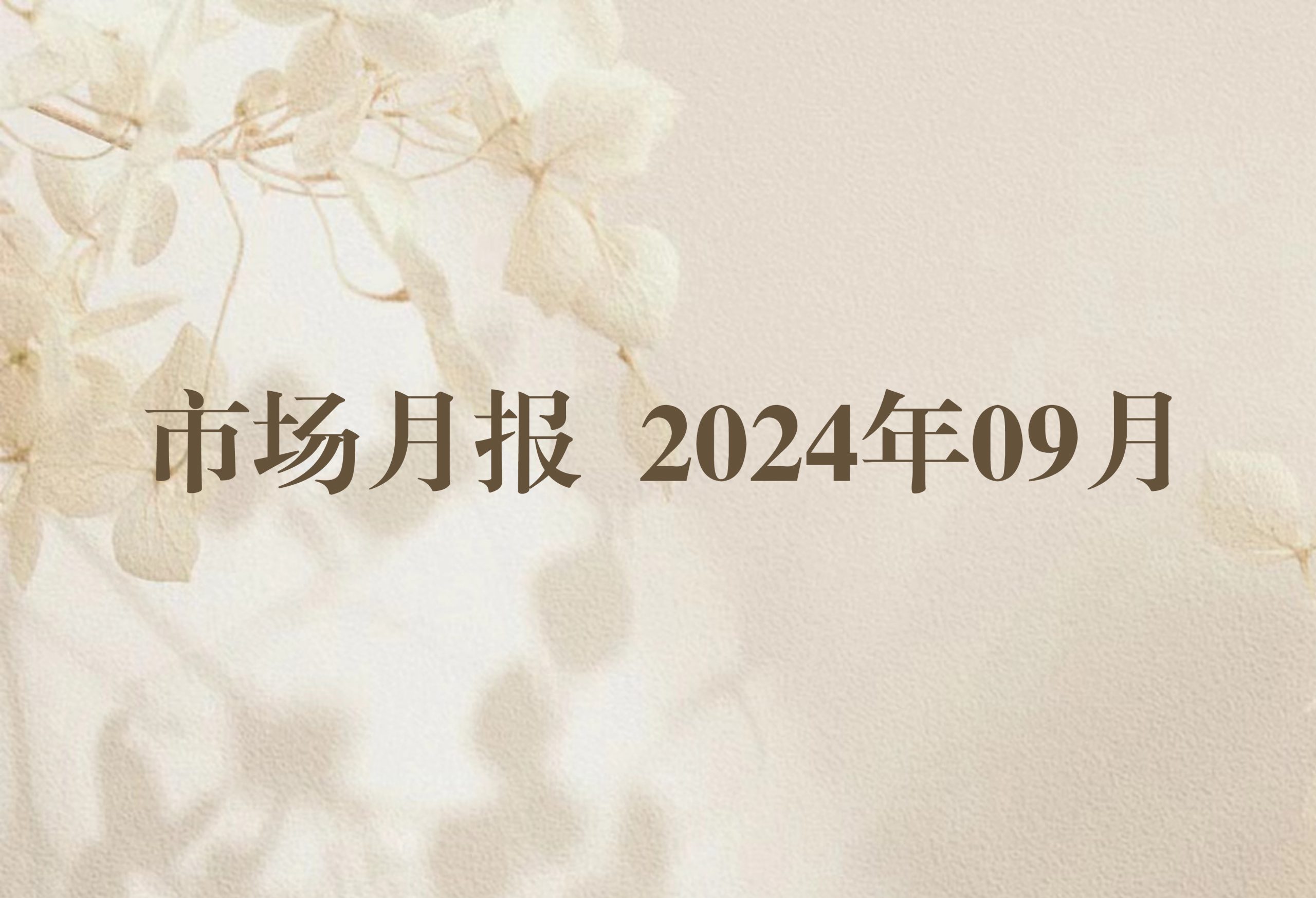 市场月报 2024年09月